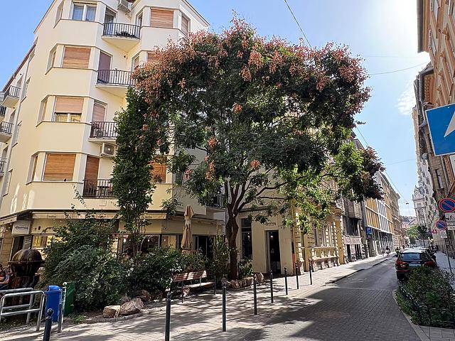 For sale apartment