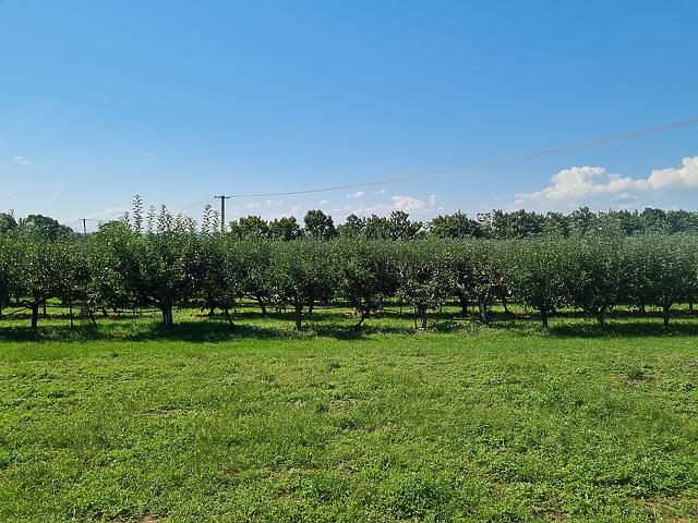 In Vendita terreno