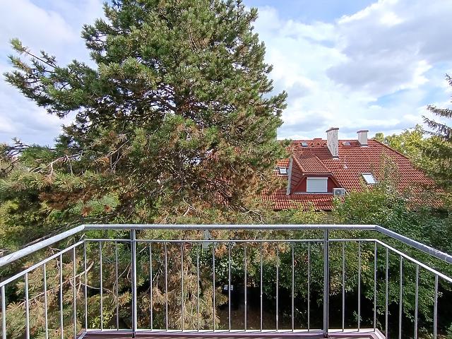 For rent apartment