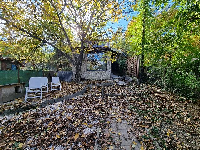 For rent house