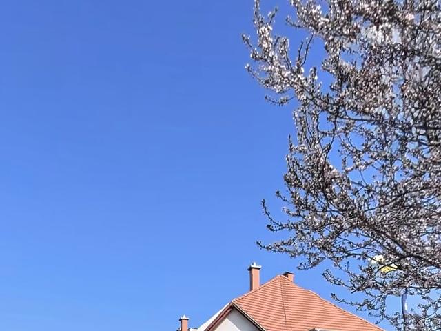 For sale apartment