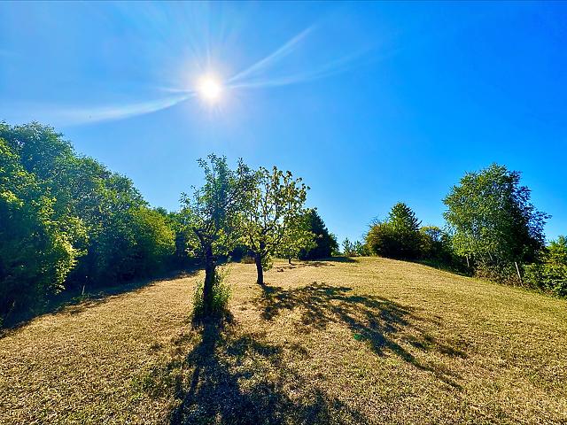 For sale site
