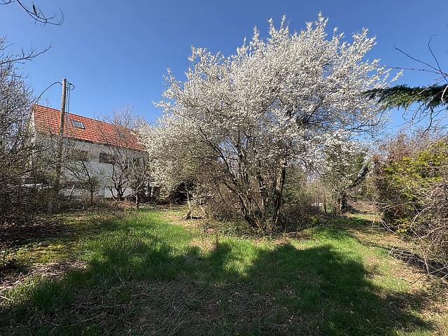 Eladó telek