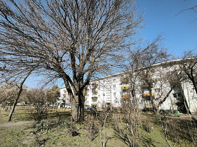 In Vendita appartamento