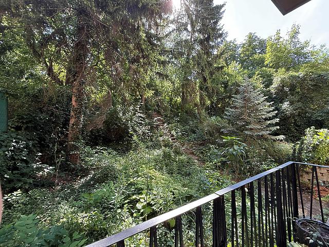 For rent apartment