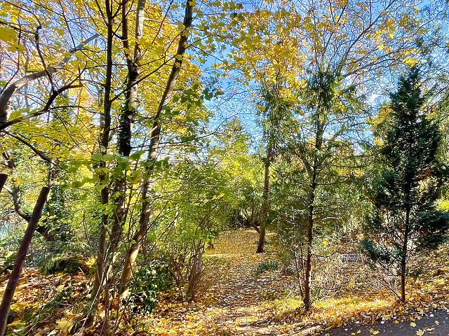 In Vendita appartamento