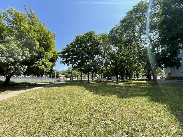 For sale apartment