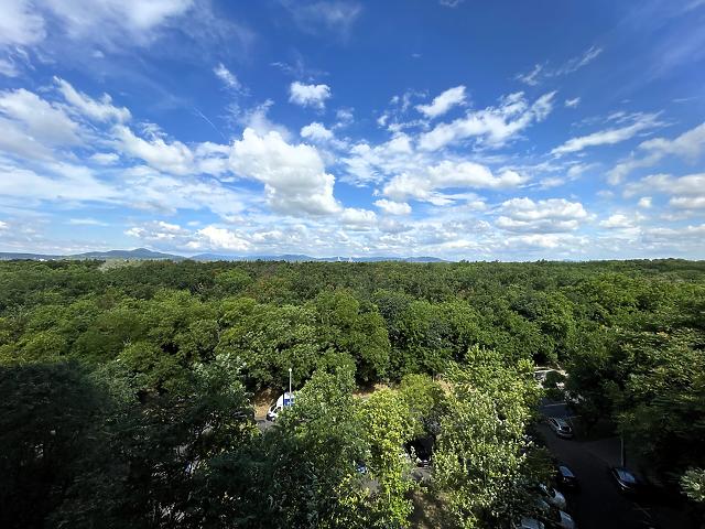 For sale apartment